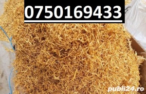 Tutun firicel si tocat. la 2 kg comandate primti 500 GR BONUS!!!!