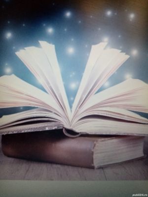 Meditații la limba română, profesoară de gimnaziu cu rezultate excepționale