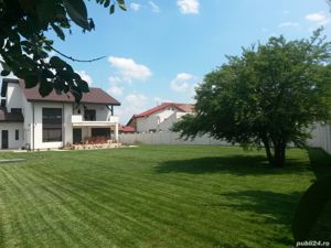 Gazonare prin insamatare preturi incepand de la 1 e  mp - imagine 8