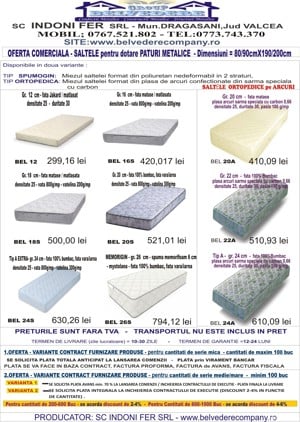 Paturi Metalice Trio Family- 3 locuri - imagine 2