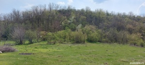 Teren vânzare Axintele Ialomița  - imagine 5 Teren vânzare Axintele Ialomița  - imagine 5