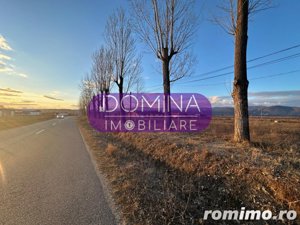 Vânzare teren intravilan - 25000 mp - situat în Bumbești Jiu, Loc. Tetila - imagine 4