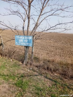  Vand teren 7000 mp intravilan ,Vernești , Buzau - imagine 6