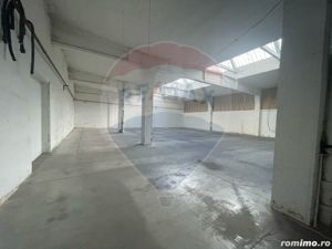 Spațiu industrial Parc Uta 1 - 420 mp utili - imagine 6