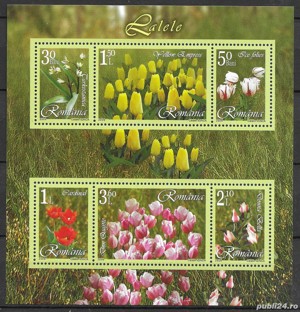 Romania 2006 - Lalele, bloc de 6 timbre, MNH, LP 1716b