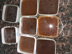 Stupină autorizata - imagine 3