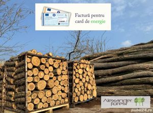 Lemn de foc paletizat