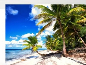 Tablou Exotic cu Rama . Living , Dormitor 