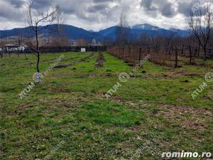 Teren intravilan 2060 mp de vanzare in Avrig zona Valea Avrigului - imagine 6