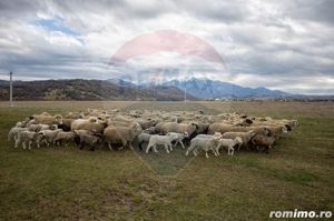 2 parcele cu panoramă, către Munții Bucegi! - imagine 3