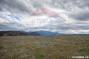 Două Parcele cu Panoramă Către Munții Bucegi - imagine 6