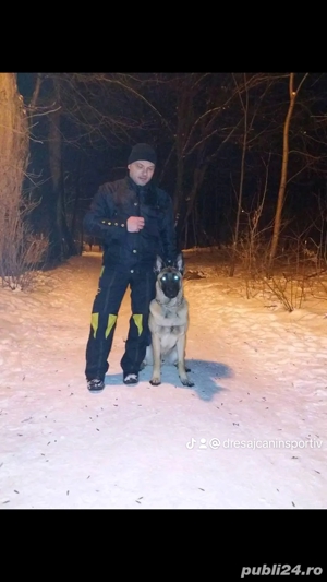 Dresaj canin sportiv