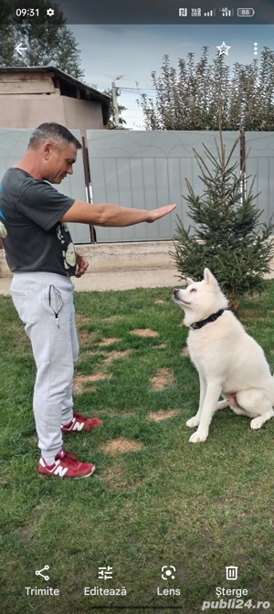 Dresaj canin sportiv - imagine 4