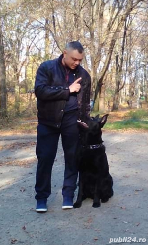 Dresaj canin sportiv - imagine 2