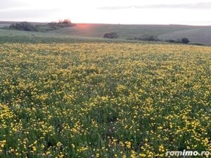 Teren arabil de 128 hectare în Cluj - imagine 2