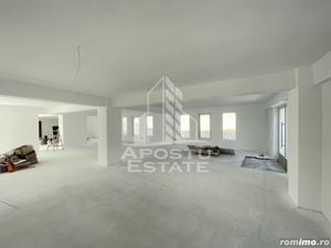 Spatiu comercial 238 mp, zona Lipovei , artera circulata - imagine 5