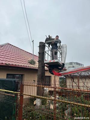 Dobor si toaletez pomi - imagine 3