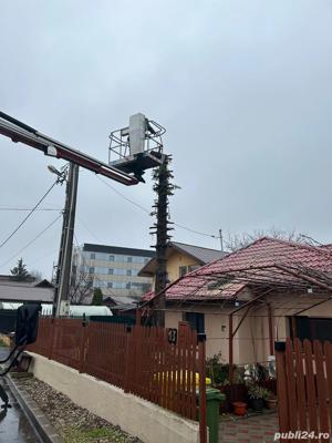 Dobor si toaletez pomi