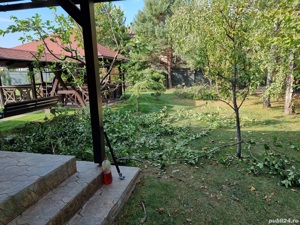 Dobor si toaletez pomi - imagine 6