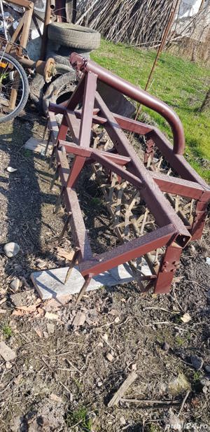 Grapa cu tavalug in tirant - imagine 2