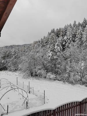 Teren pentru cabana sau locuinta la sacele , brasov, cartier bradet, zona lacul tarlungeni - imagine 4