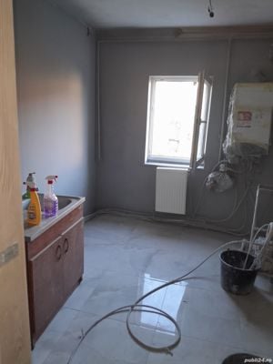 Zugrăveli profesionale 