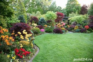 Persoană fizică tund gazon, gard viu, defrișări terenuri, demolări, diverse reparații... - imagine 3