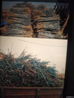 Tutori zinc 115cm vie 2 lei.