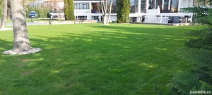 Amenajare spatii verzi Gazon Irigatii Plante Proiectare - imagine 2