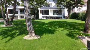 Amenajare spatii verzi Gazon Irigatii Plante Proiectare - imagine 7