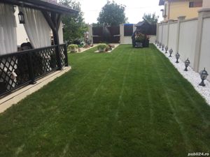 Servicii peisagistice - imagine 8