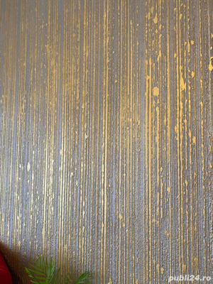 zugrav,finisor - imagine 4