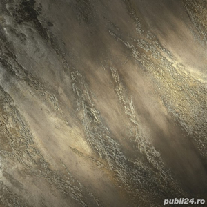 zugrav,finisor - imagine 3