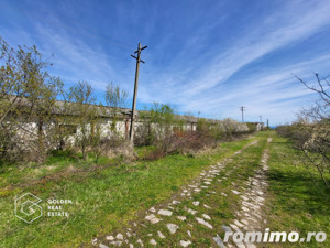 Teren extravilan, 22.5 ha, comuna Maureni - imagine 4