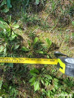 CANADA,RULETA  NOUA,BASE WIMDOWS ltd,masoara atat in metri cat si in INCH,ptr. meseriasi,cunoscatori - imagine 8