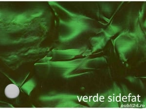 Vand coala celuloid sidefat acordeon -  Italia - imagine 4