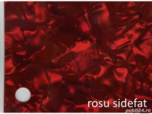 Vand coala celuloid sidefat acordeon -  Italia - imagine 2