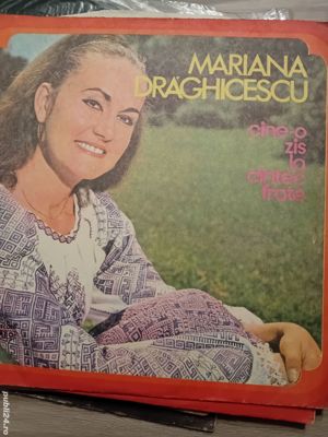 Vând plăci picoup diferite, preț 30 lei bucată. - imagine 3