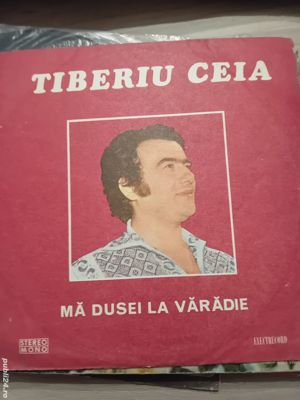 Vând plăci picoup diferite, preț 30 lei bucată. - imagine 2