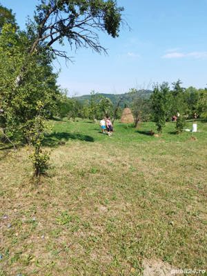 Tuns iarba  - imagine 4