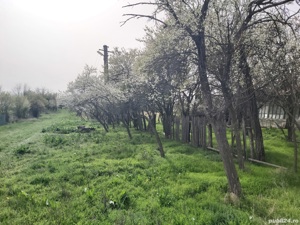 Vând teren intravilan, 2139 m.p., și casă bătrânească. Sat Tirișneag, Com. Văleni, Jud. Olt - imagine 2