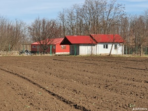 Vand ferma la 100 de km de Bucuresti. Reducere de la 60000 la 39000! - imagine 3
