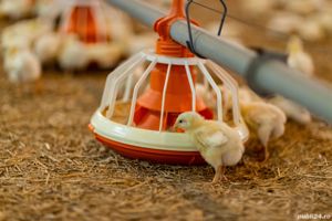 Mecanic mentenanță flux producție Oiejdea - imagine 6