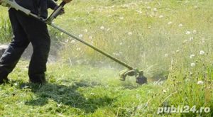 Tund iarba si gard viu, defrisez balarii - imagine 2