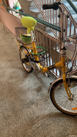 Vand bicicleta Pegas 