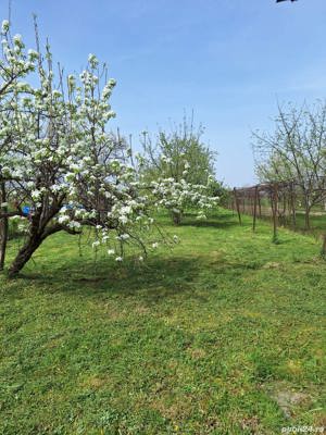 Casa Lunca,judetul Bihor - imagine 4