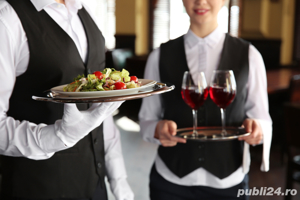 angajam OSPATARI cu experienta