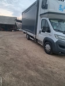 transport marfa  - imagine 2