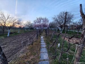 Casa la țară  - imagine 3