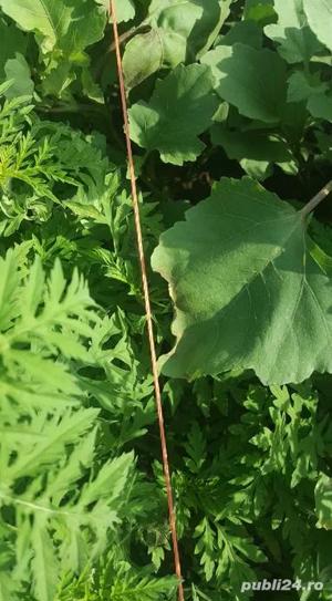 Pachet gard electric de 8j pentru 2Ha 1000m fir, TRANSPORT GRATUIT !!! - imagine 3